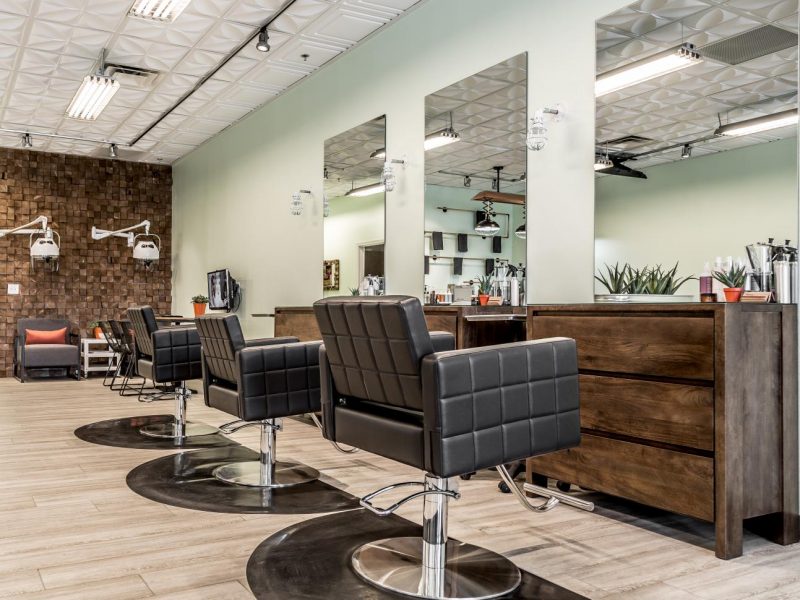 Las Vegas only clean-air salon, is a largely vegan hair salon in Las Vegas, featuring 98% vegan products and services. For more vegan services in Las Vegas, visit www.vegansbaby.com/vegansbaby2018