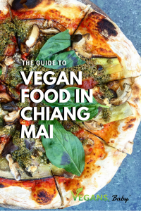 A guide to vegan food in Chiang Mai, Thailand. For more vegan dining guides on your travels, visit www.vegansbaby.com/vegansbaby2018